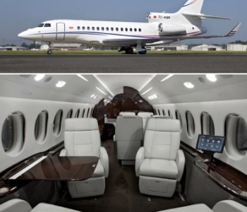 Falcon
